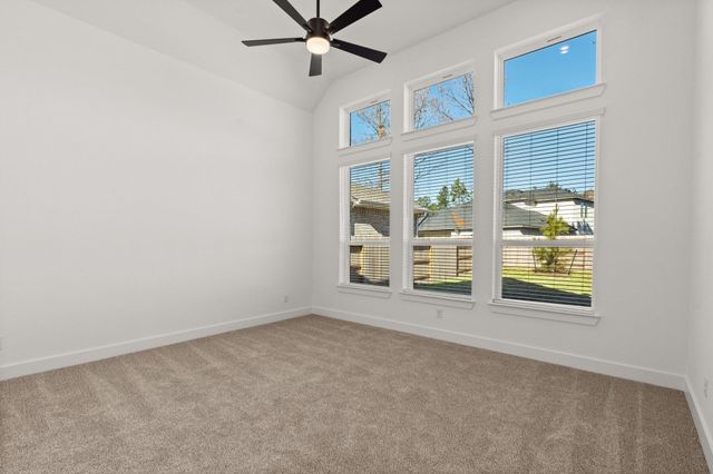 30902 Pigeon Valley Drive, Waller, TX 77484