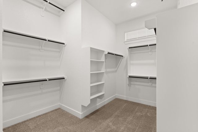 30902 Pigeon Valley Drive, Waller, TX 77484