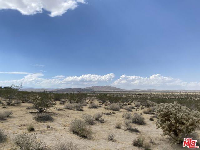 6700 California Avenue, Joshua Tree, CA 92252