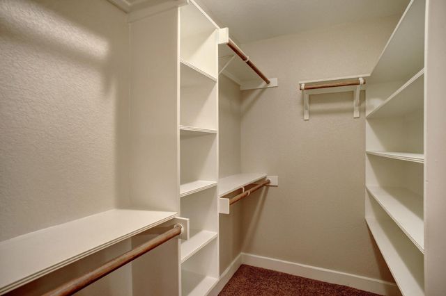 169 Palo Duro DR, Cedar Creek, TX 78612