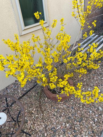 331 Serenity Court SE, Albuquerque, NM 87123