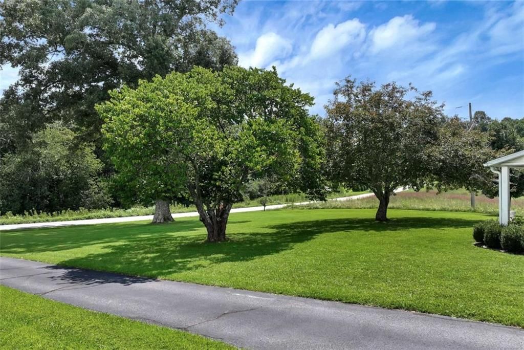 Image 6 of property listing at 4041 Ada Street, Blue Ridge, GA 30513