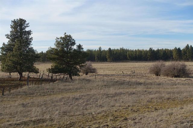 20xxx S Parker Rd, Spangle, WA 99031 property photo