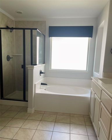 816 Cypress Hill Drive, Little Elm, TX 75068