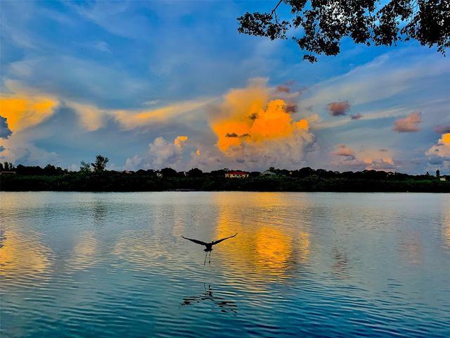 19451 GULF BOULEVARD 301, Indian Shores, FL 33785