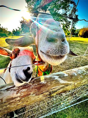 6888 MYAKKA VALLEY TRL, Sarasota, FL 34241