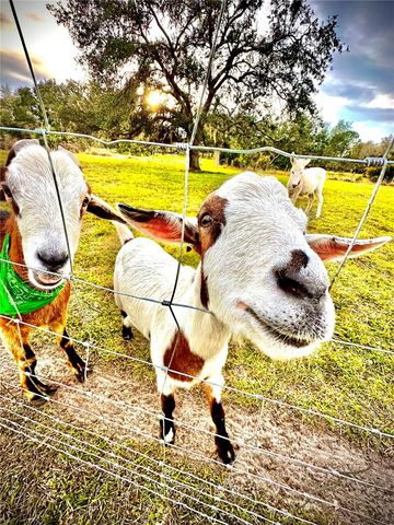 6888 MYAKKA VALLEY TRL, Sarasota, FL 34241