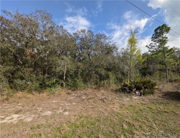 6775 S Sorrell Avenue, Homosassa, FL 34446