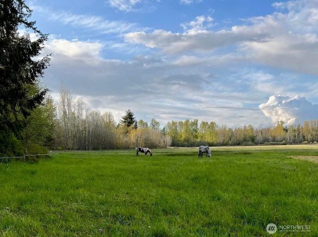 3925 Harts Lake Road S, Roy, WA 98580