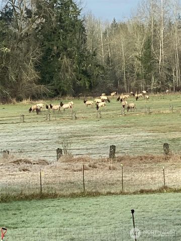 3925 Harts Lake Road S, Roy, WA 98580