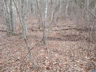 TBD MEADOW CREEK RD, Wingina, VA 24599