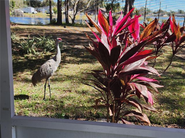 2033 QUINTILIS CT, Deltona, FL 32738