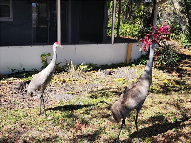 2033 QUINTILIS CT, Deltona, FL 32738