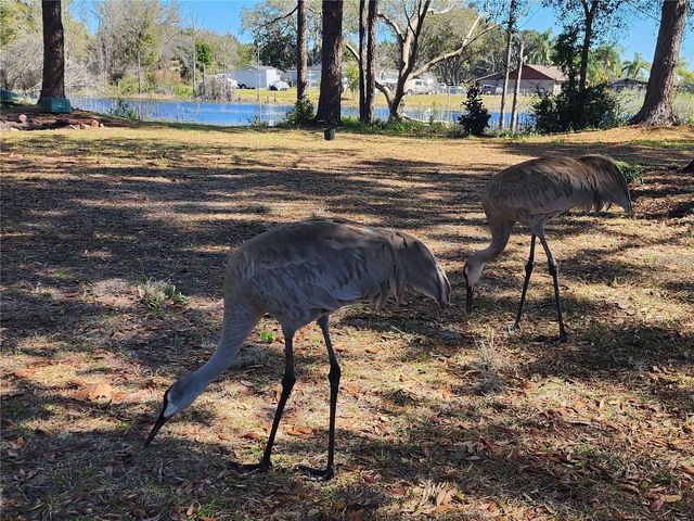 2033 QUINTILIS CT, Deltona, FL 32738