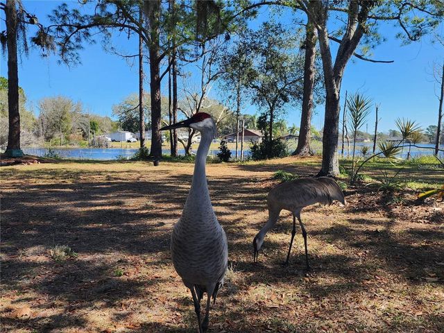 2033 QUINTILIS CT, Deltona, FL 32738