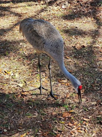 2033 QUINTILIS CT, Deltona, FL 32738