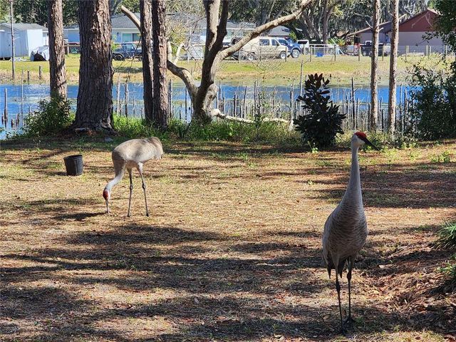 2033 QUINTILIS CT, Deltona, FL 32738