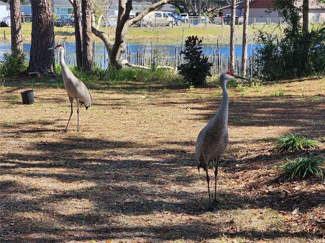 2033 QUINTILIS CT, Deltona, FL 32738