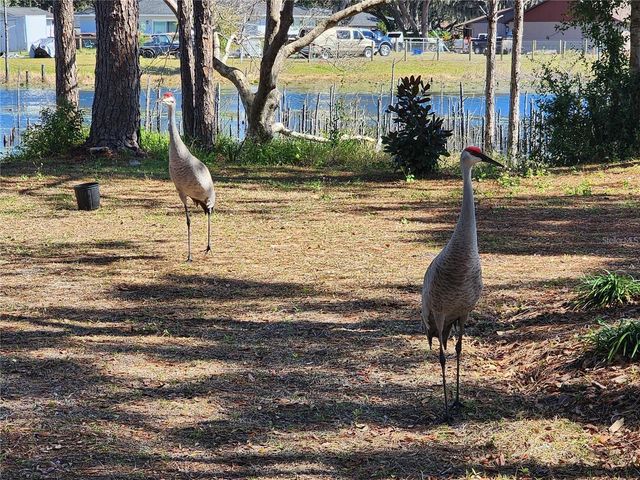 2033 QUINTILIS CT, Deltona, FL 32738