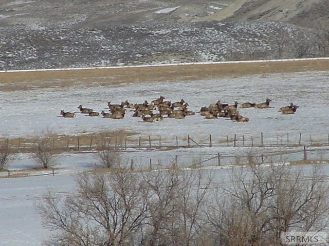 36 S Hawk Road, Salmon, ID 83467