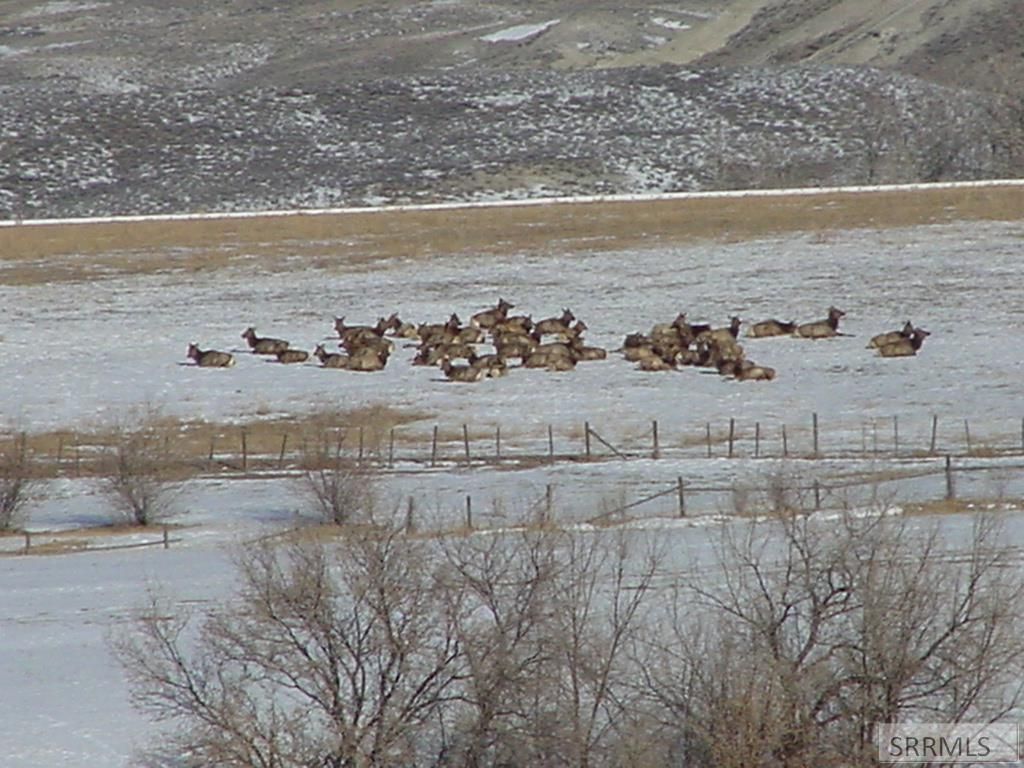 Image 19 of property listing at 36 S Hawk Road, Salmon, ID 83467