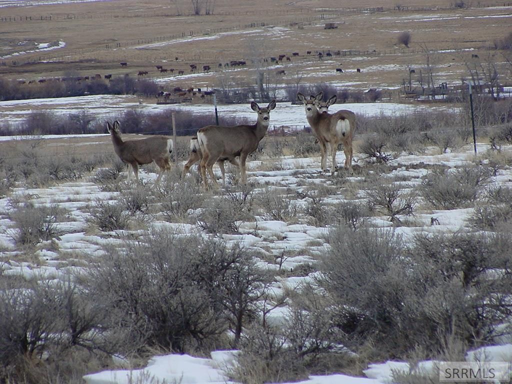 Image 25 of property listing at 36 S Hawk Road, Salmon, ID 83467