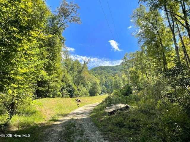575 Vestal Cochran Road, Topton, NC 28781