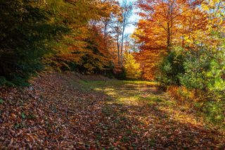 37 Low Road, Hanover, NH 03755