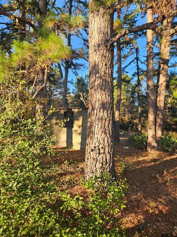 2059 ST HWY 135 N, Jacksonville, TX 75766