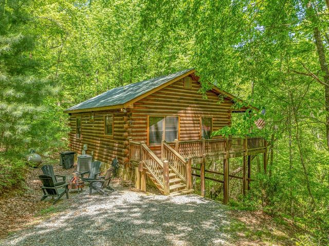 7 Ascherman Court, Blue Ridge, GA 30513