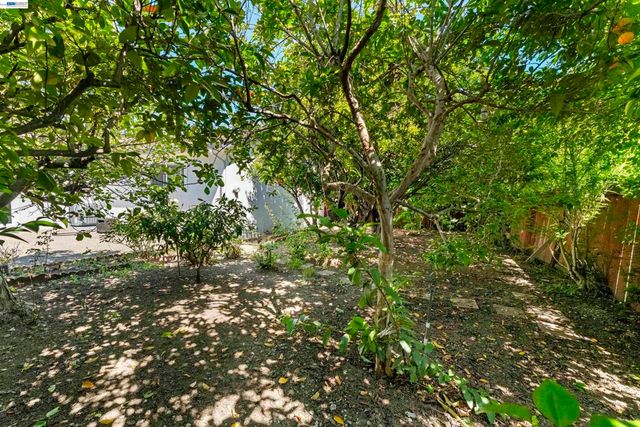 38811 Bonnie Way, Fremont, CA 94536