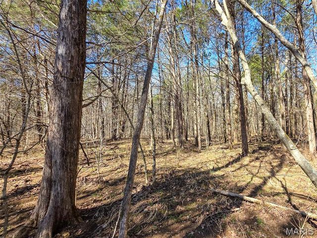 2 Off Madison 416, Fredericktown, MO 63645