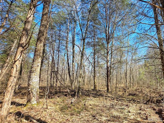 2 Off Madison 416, Fredericktown, MO 63645