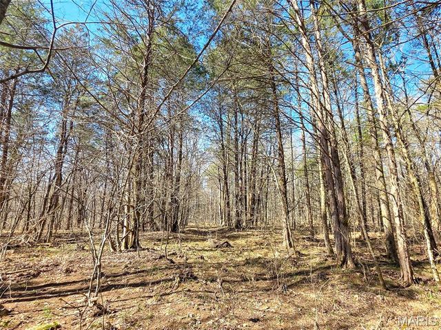 2 Off Madison 416, Fredericktown, MO 63645