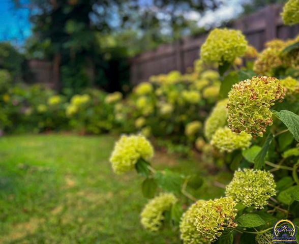 411 SW Woodlawn Ave, Topeka, KS 66606