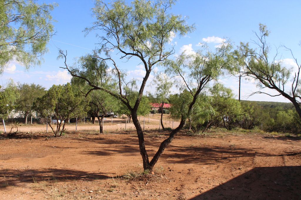 Image 19 of property listing at 317 Chestnut Lane, Robert Lee, TX 76945