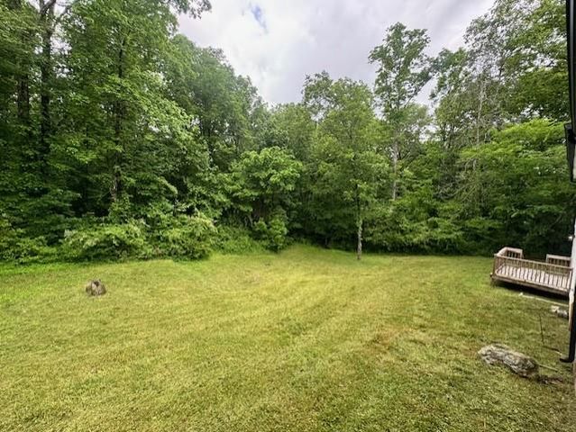 3029 Kinnamon Drive, Cohutta, GA 30710