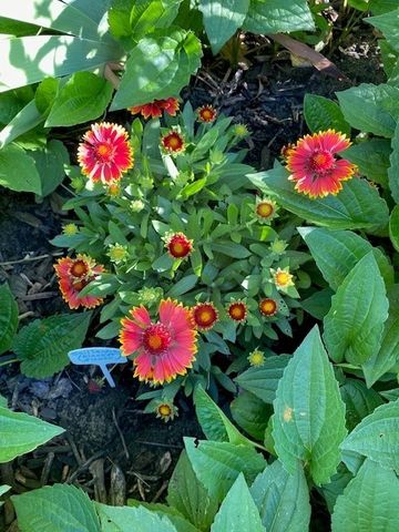 59 Armstrong Avenue, Irondequoit, NY 14617