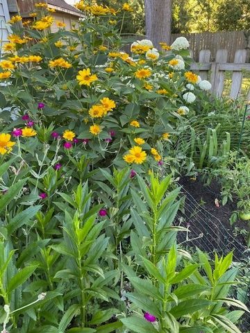 59 Armstrong Avenue, Irondequoit, NY 14617