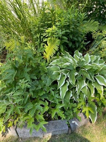 59 Armstrong Avenue, Irondequoit, NY 14617