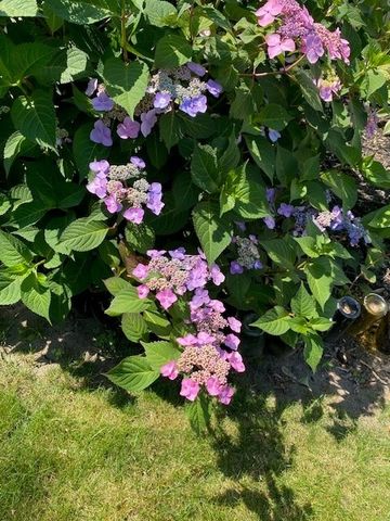 59 Armstrong Avenue, Irondequoit, NY 14617