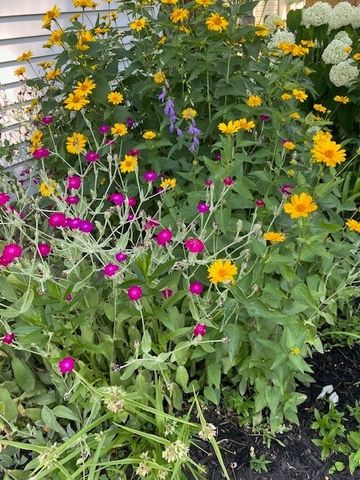 59 Armstrong Avenue, Irondequoit, NY 14617