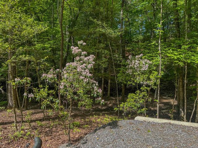 1254 Friendship Church Road, Murphy, NC 28906