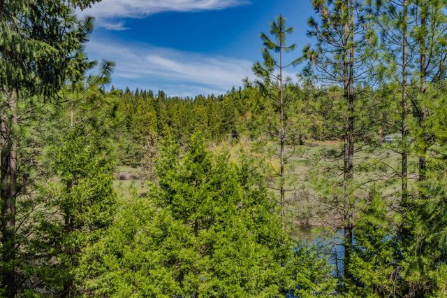 26041 Golf Links Dr, Pioneer, CA 95666