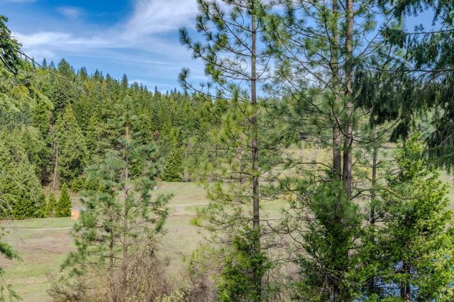 26041 Golf Links Dr, Pioneer, CA 95666