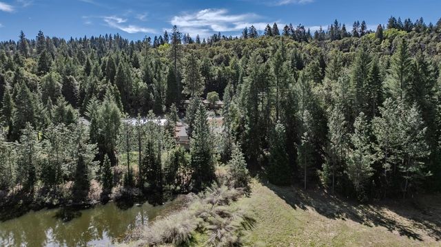 26041 Golf Links Dr, Pioneer, CA 95666