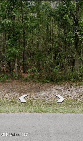 Joe's Bayou Rd, Bay Saint Louis, MS 39520