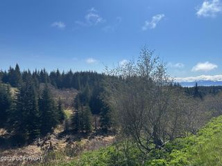 64370 Diamond Ridge Road, Homer, AK 99603