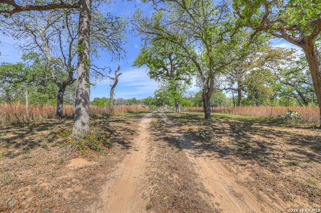 3165 Vivroux Ranch Rd, Seguin, TX 78155
