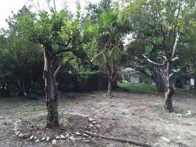 10630 Hillhaven Avenue, Los Angeles, CA 91042